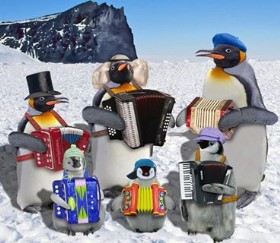 Snow accordions