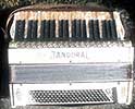 Tandoral accordion